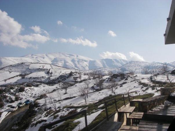 Traditional Cretan Houses,Agios Myronas ภายนอก รูปภาพ